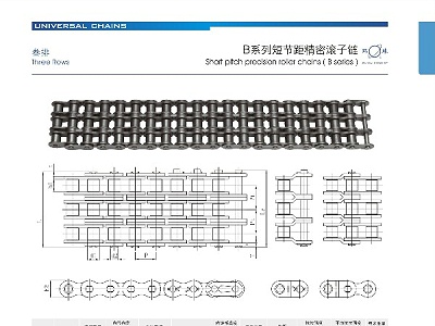 B系列短节距精密滚子链_三排