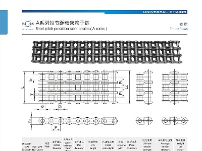 A系列短节距精密滚子链_三排