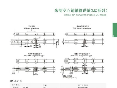米制空心销轴输送链