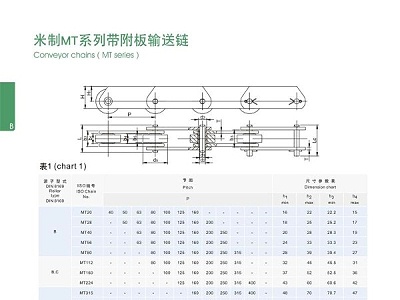 米制MT系列带附板输送链