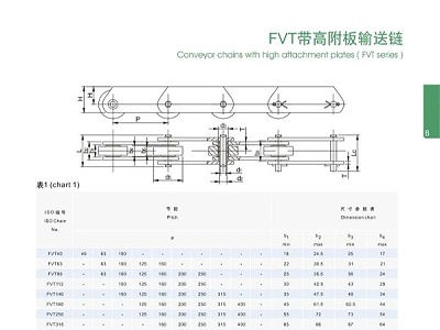 FVT带高链板输送链