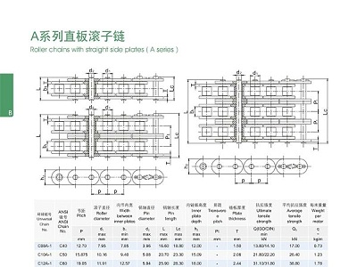 A系列直板滚子链