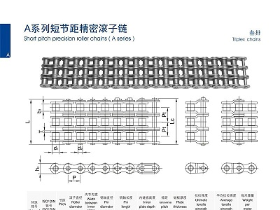 A系列开口销型短节距精密滚子链_三排