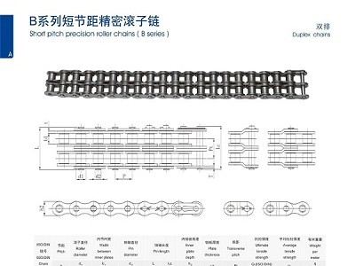 B系列短节距精密滚子链_双排