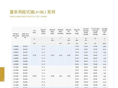 重系列板式链LH(BL)系列